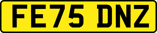 FE75DNZ