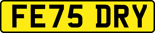 FE75DRY