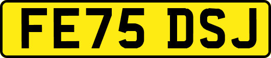 FE75DSJ