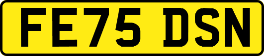 FE75DSN