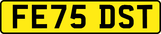 FE75DST