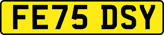 FE75DSY