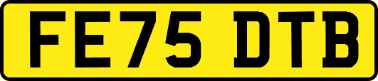 FE75DTB