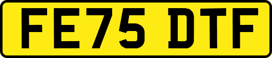 FE75DTF