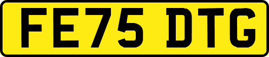 FE75DTG
