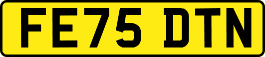 FE75DTN