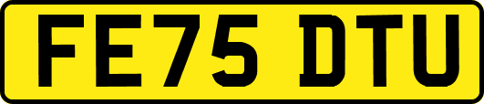 FE75DTU