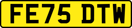 FE75DTW