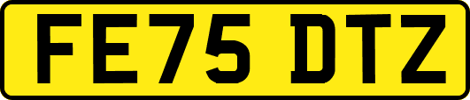 FE75DTZ