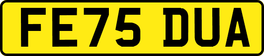 FE75DUA
