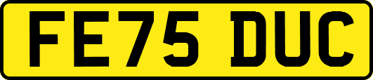 FE75DUC