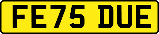 FE75DUE