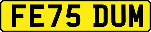 FE75DUM