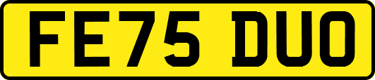 FE75DUO