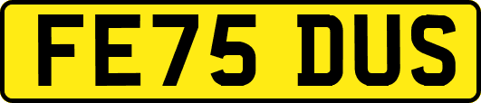 FE75DUS