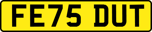 FE75DUT