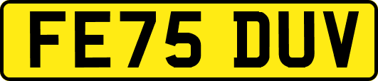 FE75DUV