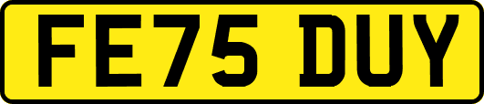 FE75DUY