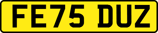 FE75DUZ