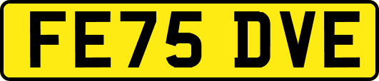 FE75DVE