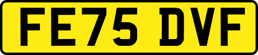 FE75DVF