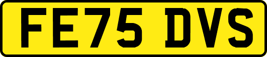 FE75DVS