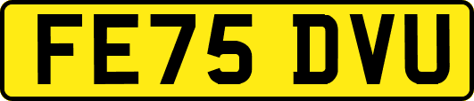 FE75DVU