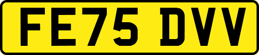 FE75DVV