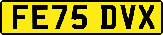 FE75DVX