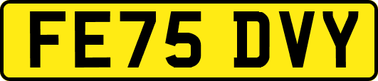 FE75DVY