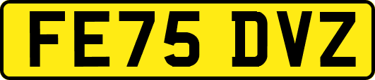 FE75DVZ