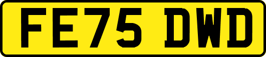 FE75DWD