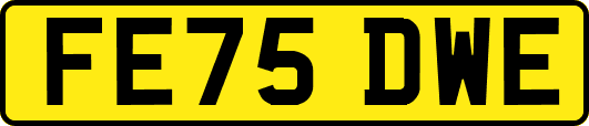 FE75DWE
