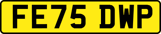FE75DWP