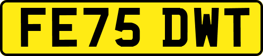 FE75DWT