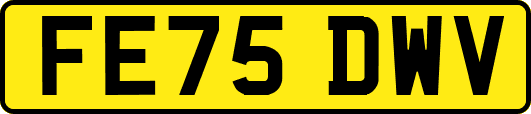 FE75DWV