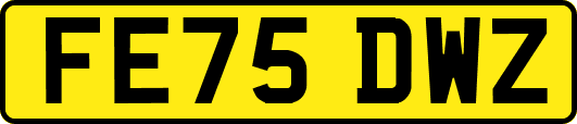 FE75DWZ