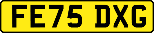 FE75DXG