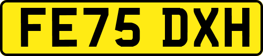 FE75DXH