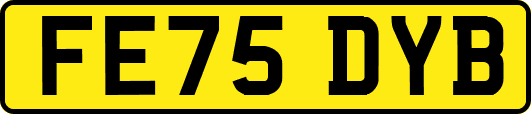 FE75DYB