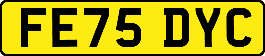 FE75DYC
