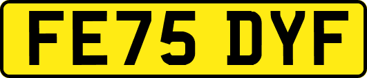 FE75DYF