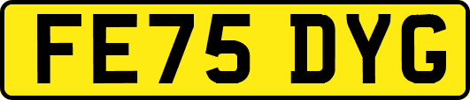 FE75DYG