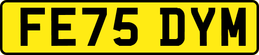 FE75DYM