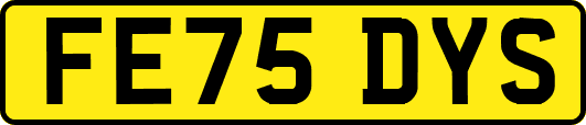 FE75DYS