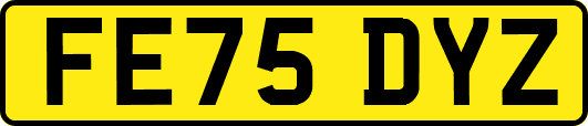 FE75DYZ