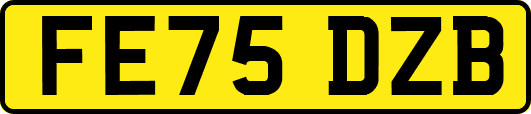 FE75DZB