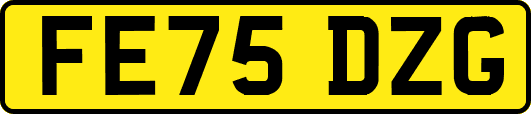 FE75DZG