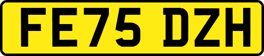 FE75DZH