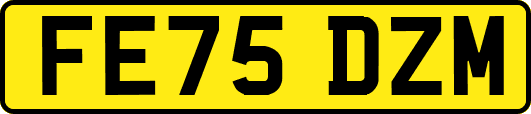 FE75DZM